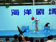 -无锡动物园·太湖欢乐园