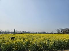 -中国天府农业博览园