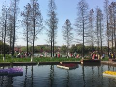 -圩墩遗址公园