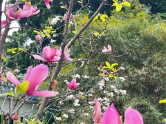 -晓港公园