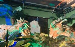 -恐龙探索乐园(磁器口店)