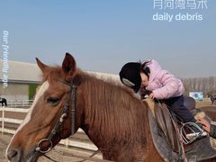 -月河湾马术俱乐部(朝阳店)