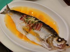 -陕西会客厅·宴会厅·唐世佳宴