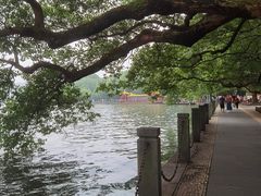 -杭州君悦酒店