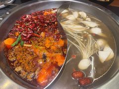菌汤鸳鸯锅-沸炉重庆老火锅(军事博物馆店)