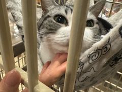-情忆草原涮肉馆