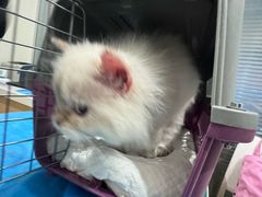 -美迦爱-牙专科·兔科·骨科诊疗中心(北苑店)