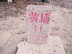 -黄埔油麻山森林公园