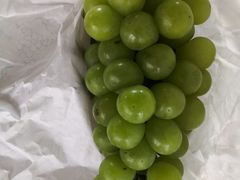 -马陆小张葡萄园农家乐