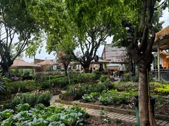 -苏记溪河鲢鱼庄(天府新区店)