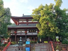 -潜山国家森林公园