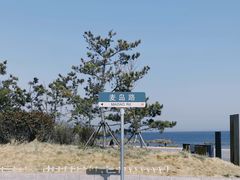 -小麦岛公园