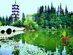 -桃花岛公园