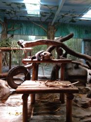 -碧玺沙灸美容美体养生馆