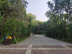 -洛阳市隋唐城遗址植物园