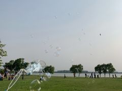 -漕湖湿地公园