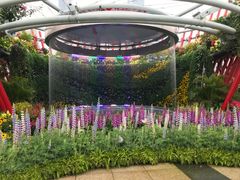 -海心沙亚运公园