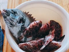 -阿军排档·烧烤