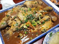 杂鱼海鲜-下塘街25号农家菜馆(新场店)