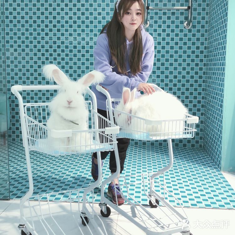 软萌软萌的小兔几,我控制不住我只几啦~