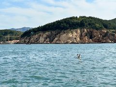 -山东大学(威海校区)