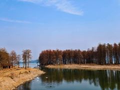 -四明湖