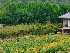-大连北马山庄