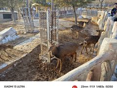 -石家庄市动物园