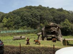 -杭州野生动物世界