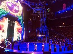 -俄罗斯国家大马戏团