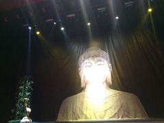 -国学剧院(功夫诗·九卷)