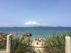 -杨梅坑