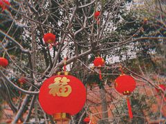 -龙华寺