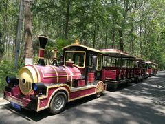 -合肥滨湖国家森林公园