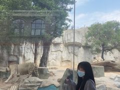 -灵玲国际马戏城