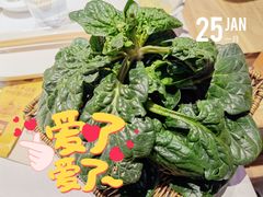 笨菠菜-巴奴毛肚火锅(六天地店)