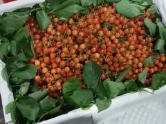 -菜园坝水果市场
