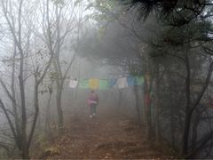 -石砭峪水库
