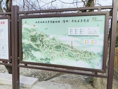 -北京鹫峰国家森林公园