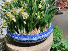 -双季花艺园艺市场(浦东店)