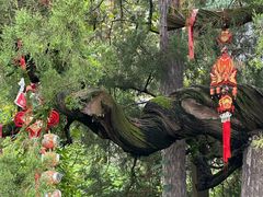 -东天目山风景区