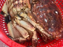 -醉壹号海鲜大排档(厦门美食地标店)