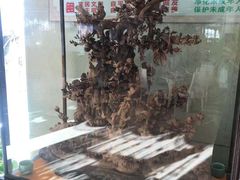 -皇朝海鲜酒店