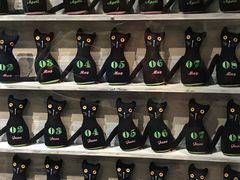 -猫咪博物馆(顶澳仔猫街店)