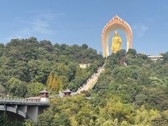 -庐山风景名胜区-东林大佛