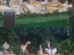 -珠海长隆海洋王国