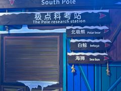 -海合安青岛极地海洋公园