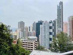 -香港大学