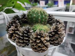 -中国移动南方基地