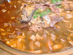 -老阿妈蒙古村·蒙古包·草原文化·歌舞表演(老君堂店)